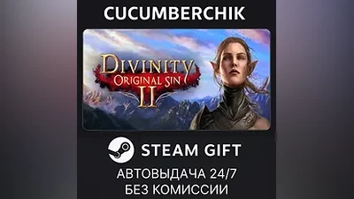 Divinity: Original Sin 2 - Divine Edition STEAM GIFT AUTO RU+МИР