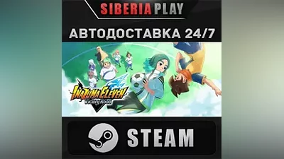 INAZUMA ELEVEN: Victory Road STEAM АВТО RU/UA/KZ/СНГ