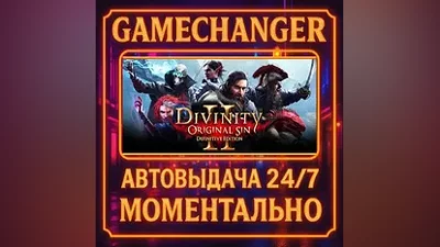 Divinity: Original Sin 2 AUTO STEAM GIFT 24/7