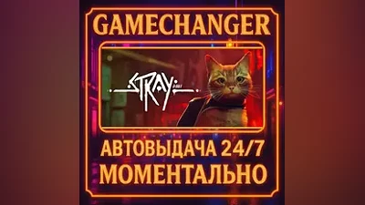 Stray AUTO STEAM GIFT 24/7