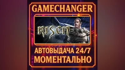 Risen AUTO STEAM GIFT 24/7