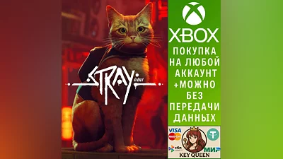 Stray Xbox One & Xbox Series X|S & PC