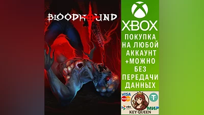 Bloodhound Xbox One & Xbox Series X|S