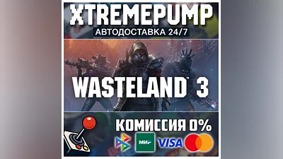 Wasteland 3 STEAM АВТО 24/7