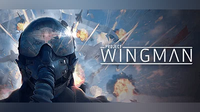 Project Wingman (PC) [Europe] [Standard]