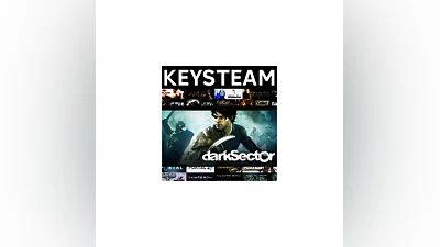 Dark Sector