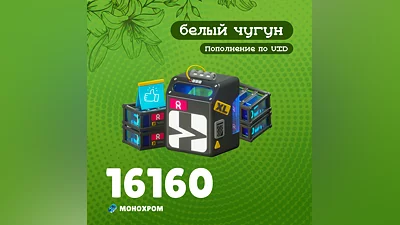 16 160 Монохром для Zenless Zone Zero