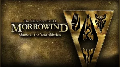 Elder Scrolls III: Morrowind Game of the Year Edition GOTY Steam ключ Global RU/CIS РФ Россия СНГ