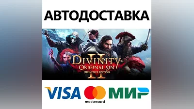 Divinity: Original Sin 2 * STEAM RU АВТО