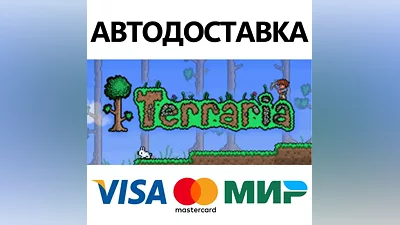 Terraria * STEAM РОССИЯ АВТОДОСТАВКА КАРТЫ