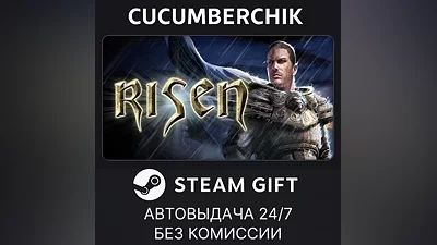 Risen STEAM GIFT AUTO RU+МИР