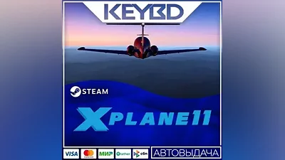 X-Plane 11 · Steam Gift АВТОДОСТАВКА