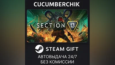Section 13 STEAM GIFT AUTO RU+МИР