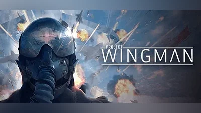 Project Wingman | АВТОДОСТАВКА Россия Steam