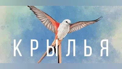 Wingspan / Steam Key / GLOBAL | АВТОВЫДАЧА 24/7