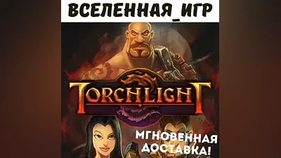 Torchlight (РФ/СНГ/Global) STEAM КЛЮЧ