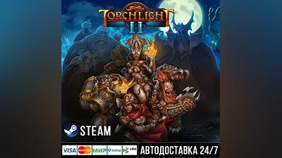 Torchlight II СТИМ Steam Gift