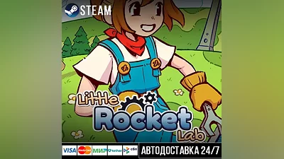 Little Rocket Lab СТИМ Steam Gift