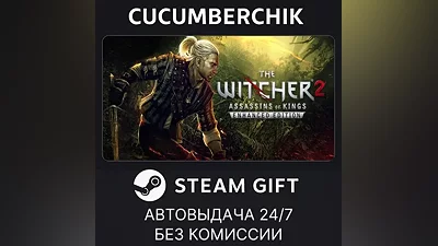 The Witcher 2 (RU) STEAM GIFT AUTO UA+МИР