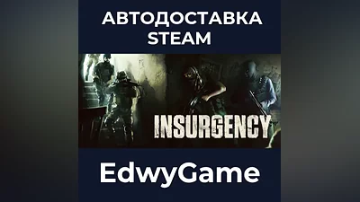 Insurgency