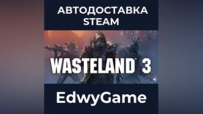 Wasteland 3
