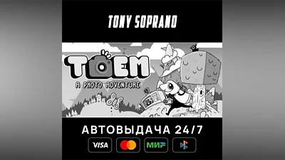 TOEM Выбор Стран Авто-Доставка 24/7