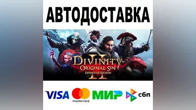 Divinity: Original Sin 2 АВТОДОСТАВКА STEAM РФ