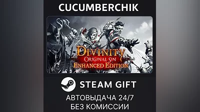 Divinity: Original Sin Enhanced Edition - Collector's Edition STEAM GIFT AUTO RU+МИР