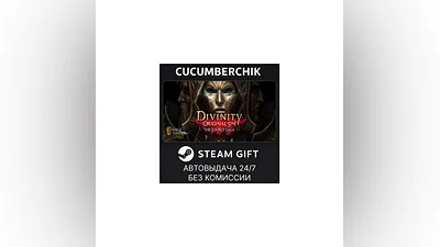 Divinity: Original Sin - The Source Saga STEAM GIFT AUTO RU+МИР
