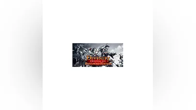 Divinity: Original Sin Enhanced Edition - Collector's Edition Steam Gift RU