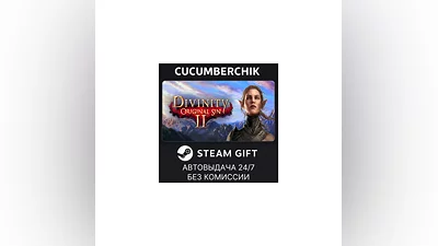 Divinity: Original Sin 2 - Eternal Edition STEAM GIFT AUTO RU+МИР