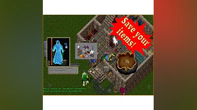 Ultima online - Olmer online "Insurance sertificate"