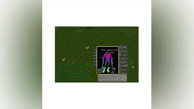 Ultima online - Олмер онлайн "Unicorn shirt"