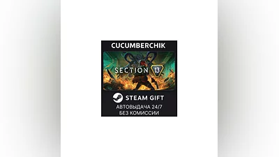 Section 13 STEAM GIFT AUTO RU+МИР
