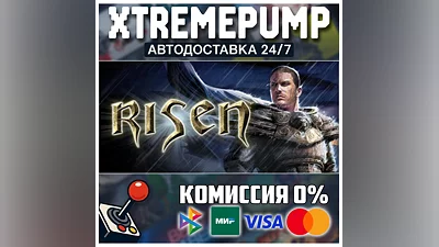 Risen STEAM АВТО 24/7