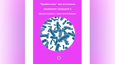 «Пробиотики» как источники заражения кандидой...
