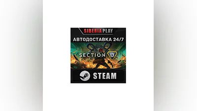 Section 13 STEAM АВТО RU/UA/KZ/СНГ