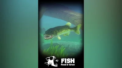 Feed and Grow: Fish