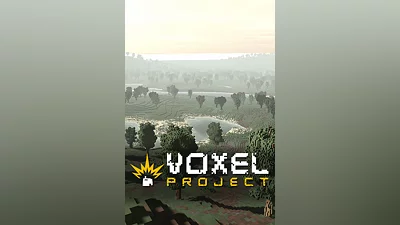 Voxel Project VR