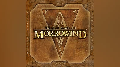 The Elder Scrolls III: Morrowind Game of the Year Edition (PC) | PC | На любой аккаун