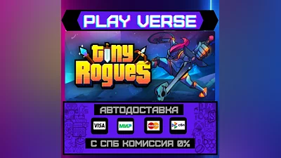 Tiny Rogues  АВТОВЫДАЧА  STEAM GIFT