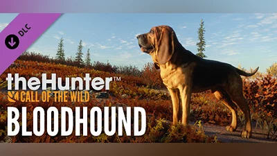 theHunter: Call of the Wild  - Bloodhound Steam Гифт Казахстан
