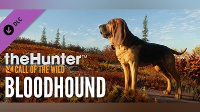 theHunter: Call of the Wild wild bloodhound на steam