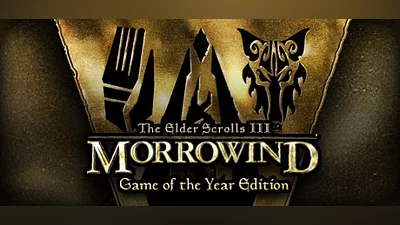 The Elder Scrolls III: Morrowind  Game of the Year Edition Steam Гифт Россия