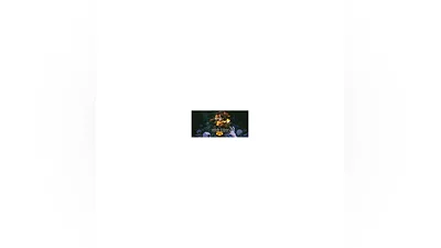 Hero Siege (steam gift/ru+cis)